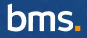 BMS Group