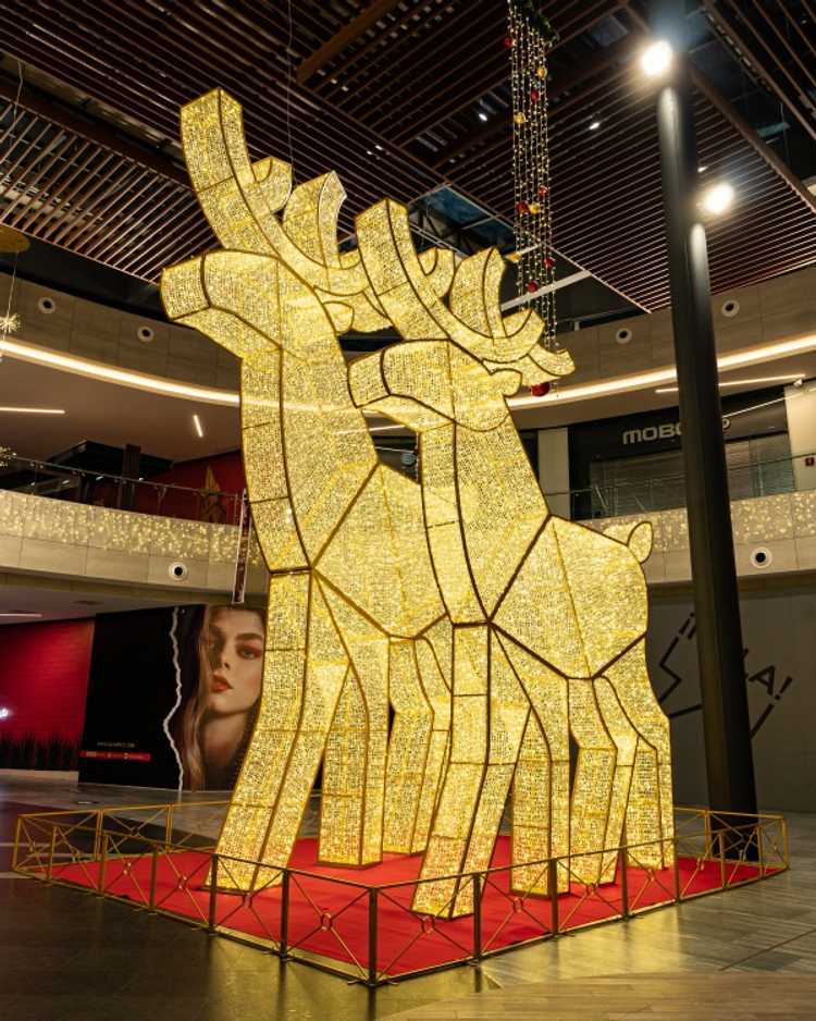 Waterloo Moose Light Up Display