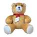 Inflatable Teddy Bear