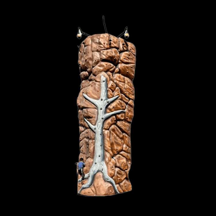 Mobile Rock Climbing Wall Test