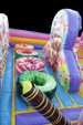 Candyland 2.0 7 1705944268 Bouncy Castle Rentals