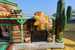 Western20Playland3 1730842762 Wild West Playland
