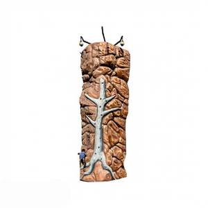 Mobile Rock Climbing Wall Mobile Rock Climbing Wall