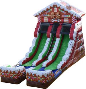 16ft Double Lane Ginger Bread Slide Wet or Dry