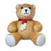 Inflatable Teddy Bear Inflatable Teddy Bear