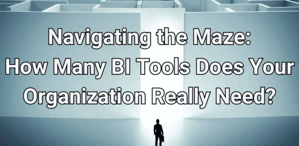 Navigating the Maze: How Many BI Tools Does Your Organization Really Need?