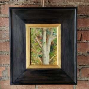 Aspen Study
